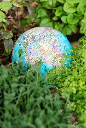 green_world_stock_small